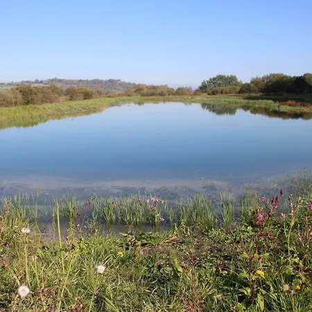 Lägenhet Im Gruenen Und Bodenseenaehe