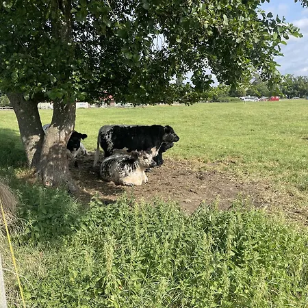 Im Gruenen Und Bodenseenaehe Rielasingen-Worblingen