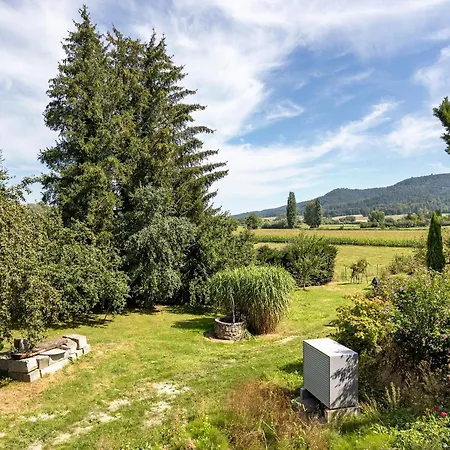 Lägenhet Im Gruenen Und Bodenseenaehe Rielasingen-Worblingen