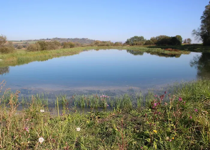 Lejlighed Im Gruenen Und Bodenseenaehe