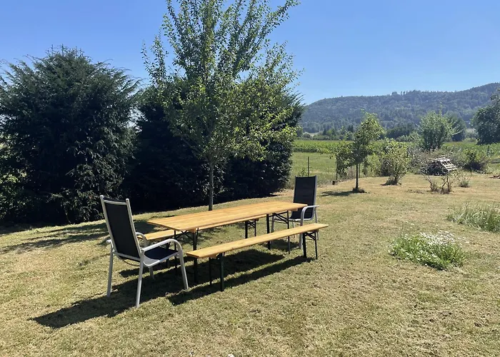 Im Gruenen Und Bodenseenaehe Apartment Rielasingen-Worblingen