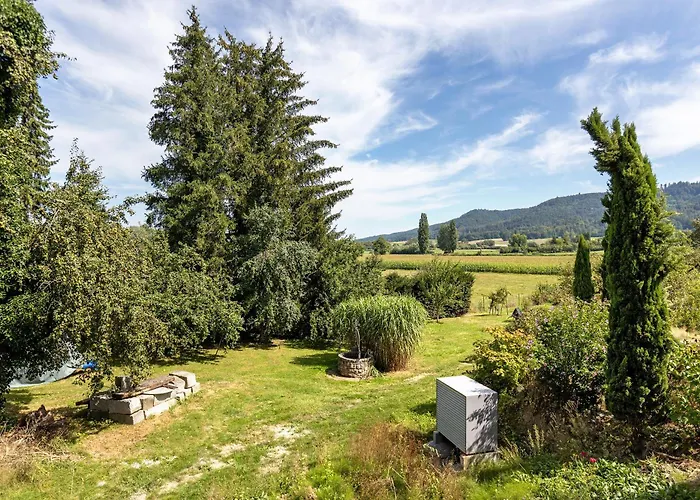 Apartment Im Gruenen Und Bodenseenaehe Rielasingen-Worblingen